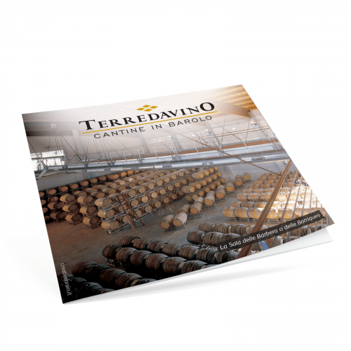 promozionale_terre_da_vino web design sito l'albero della carambola